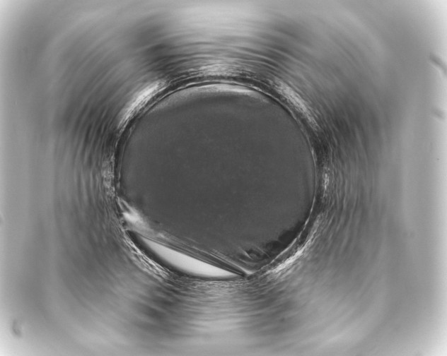 X0000093740930200710301101