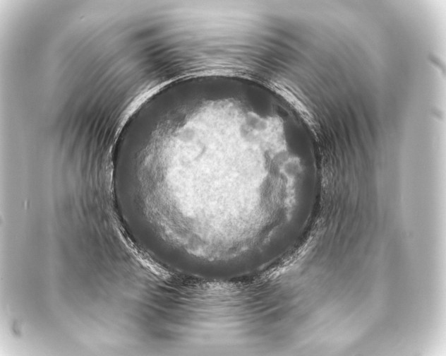 X0000093740933200710301102