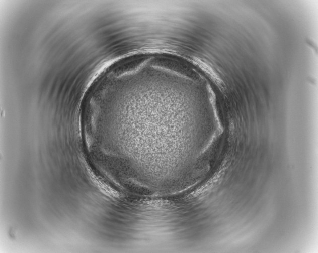 X0000093740934200710301102