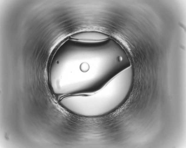 X0000093740936200710301102