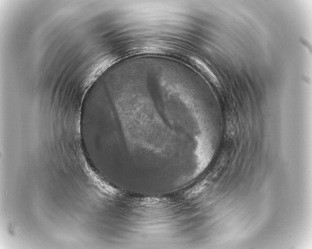 X0000093740938200710301102