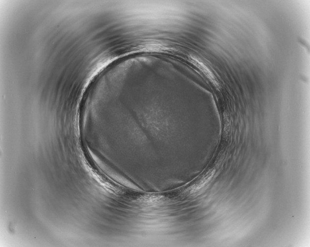 X0000093740939200710301102