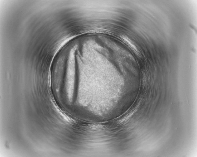 X0000093740940200710301102