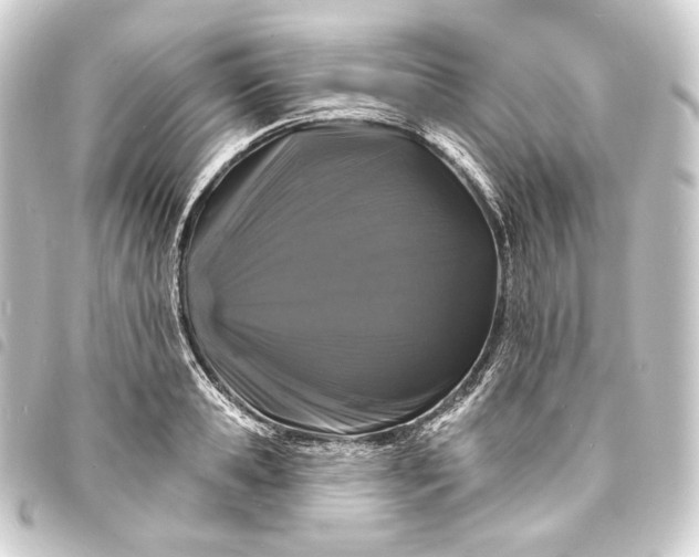 X0000093740941200710301102