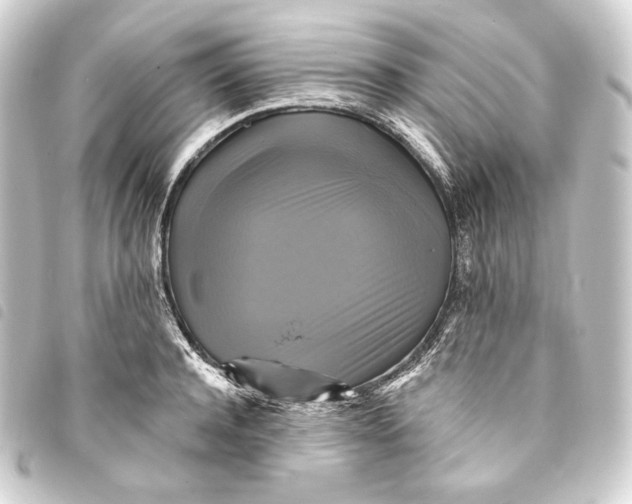 X0000093740944200710301102