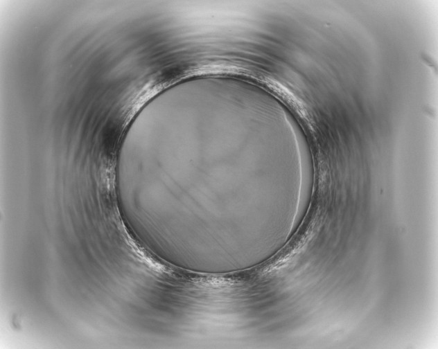 X0000093740945200710301102