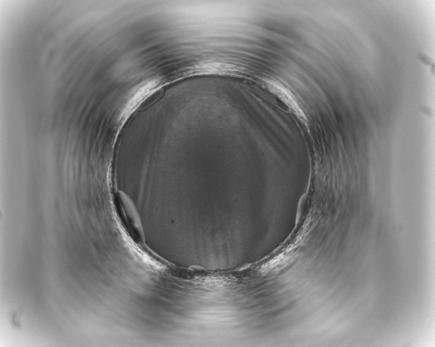 X0000093740946200710301102