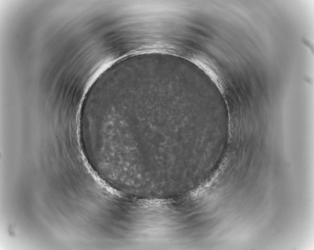 X0000093740949200710301102