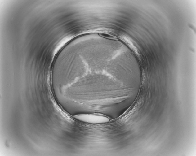 X0000093740952200710301102