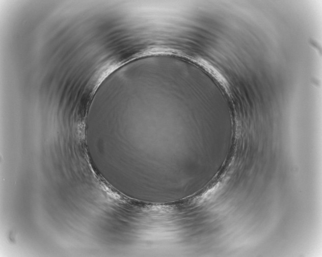 X0000093740953200710301102