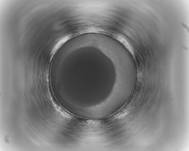 X0000093740954200710301102