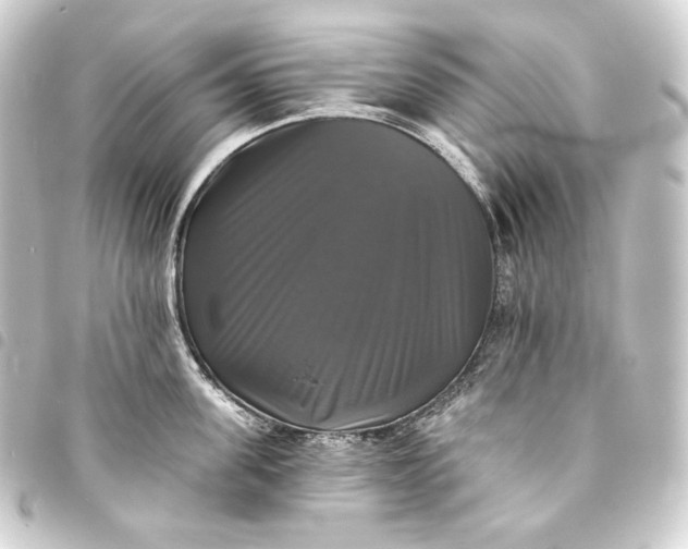 X0000093740955200710301102