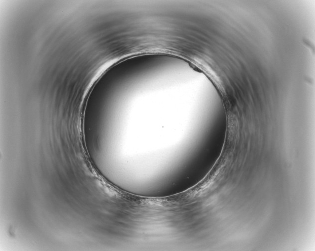 X0000093740956200710301102