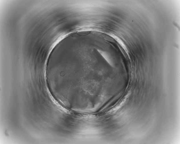 X0000093740957200710301102