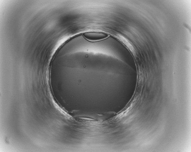 X0000093740958200710301102