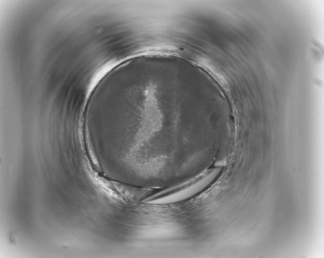 X0000093740960200710301102