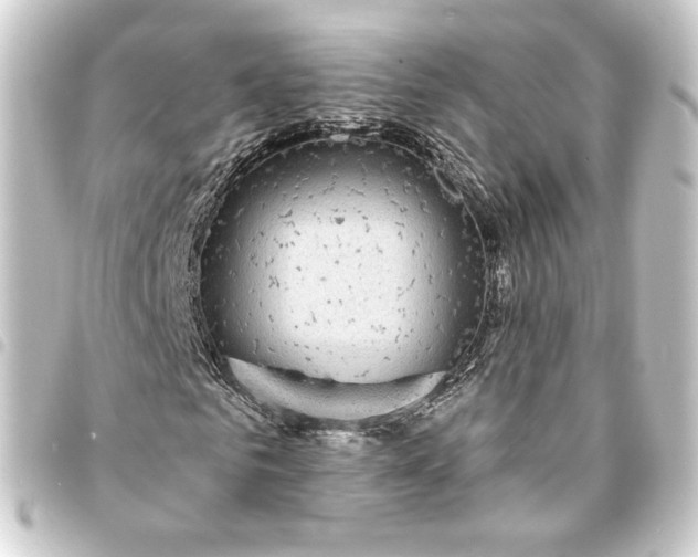 X0000093740961200710301101