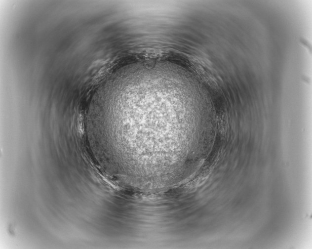 X0000093740962200710301101