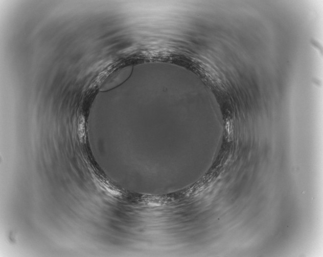 X0000093740963200710301101