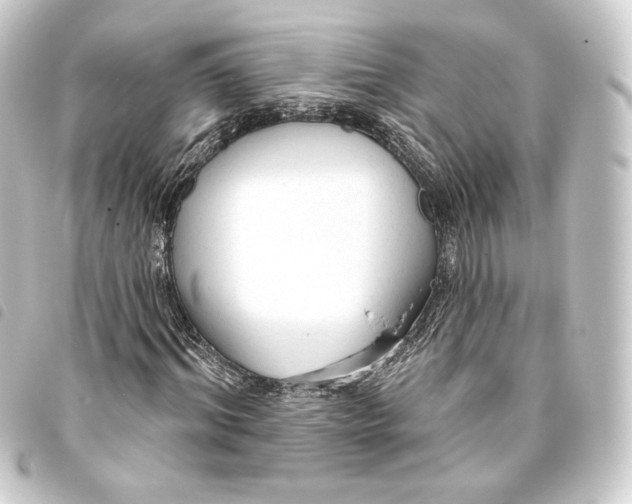 X0000093740964200710301101