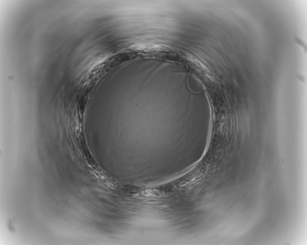 X0000093740966200710301101