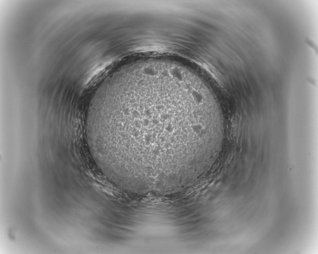 X0000093740967200710301101