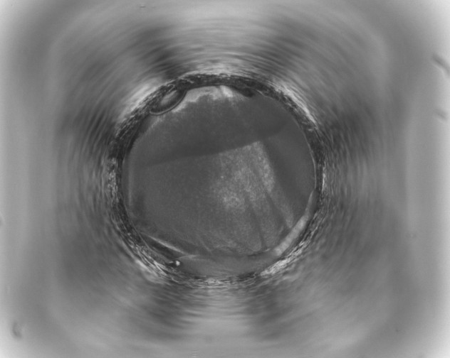 X0000093740968200710301101