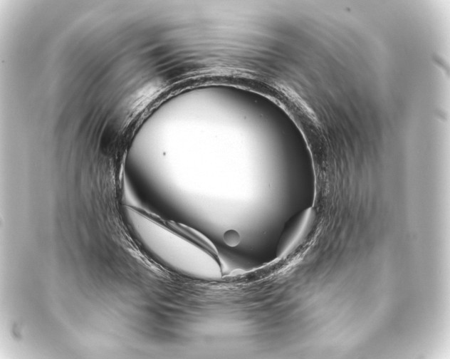 X0000093740969200710301101