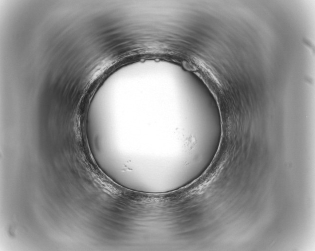 X0000093740970200710301101