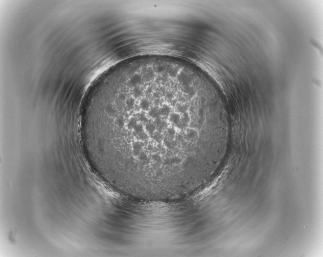 X0000093740971200710301101