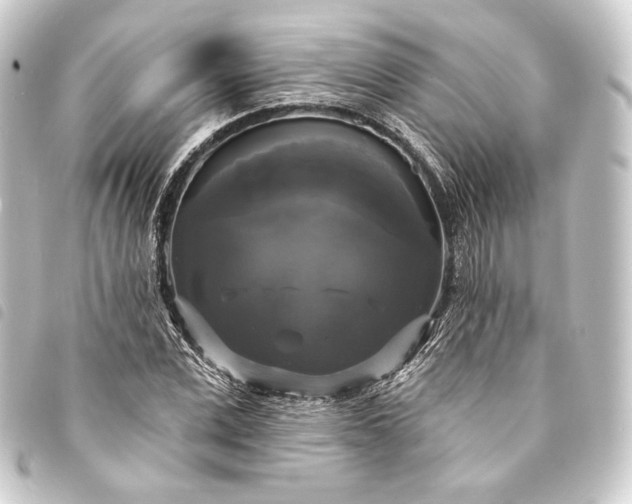 X0000093740975200710301101