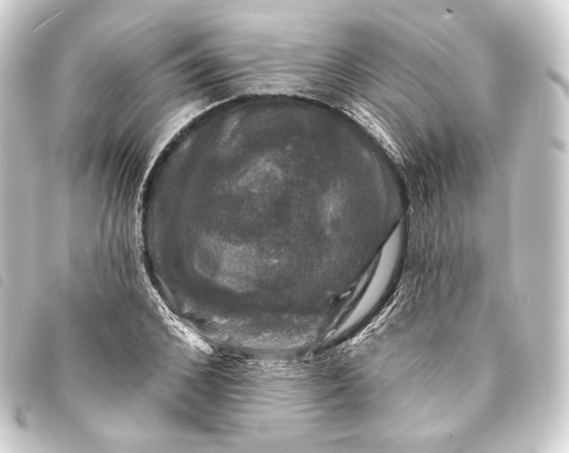 X0000093740976200710301101