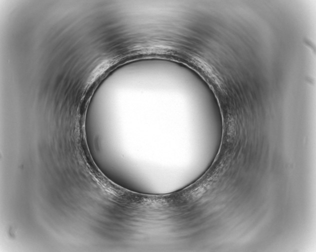 X0000093740978200710301101