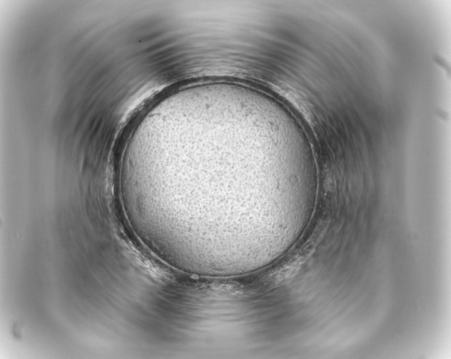 X0000093740979200710301101