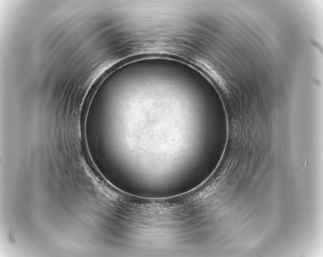 X0000093740980200710301101