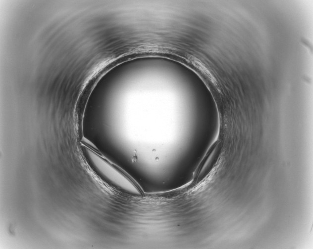 X0000093740981200710301101