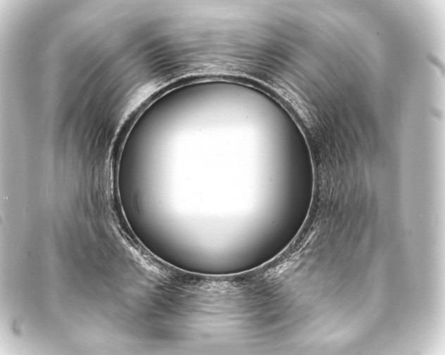 X0000093740982200710301101