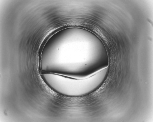 X0000093740984200710301101