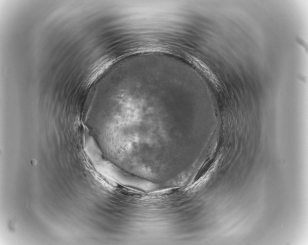 X0000093740985200710301101