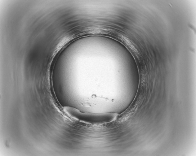 X0000093740986200710301101