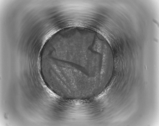 X0000093740987200710301101