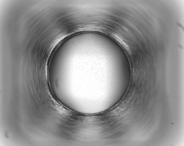 X0000093740988200710301101