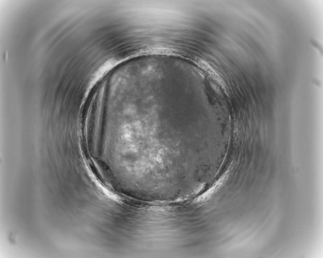 X0000093740989200710301101