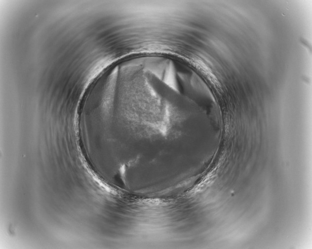 X0000093740990200710301101