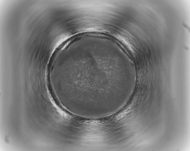 X0000093740991200710301101