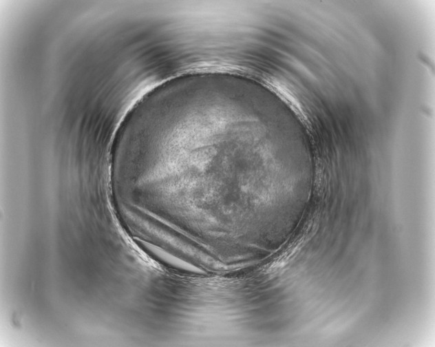 X0000093740992200710301101