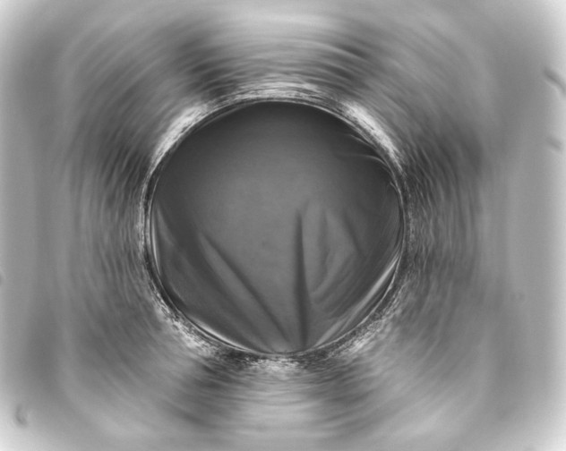 X0000093740994200710301101