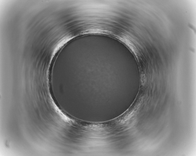 X0000093740995200710301101