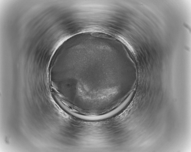 X0000093740996200710301101