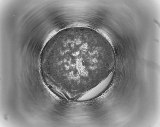 X0000093740997200710301101